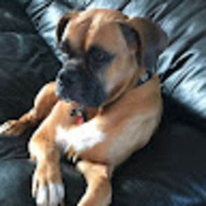 Meet your Posher, Payton